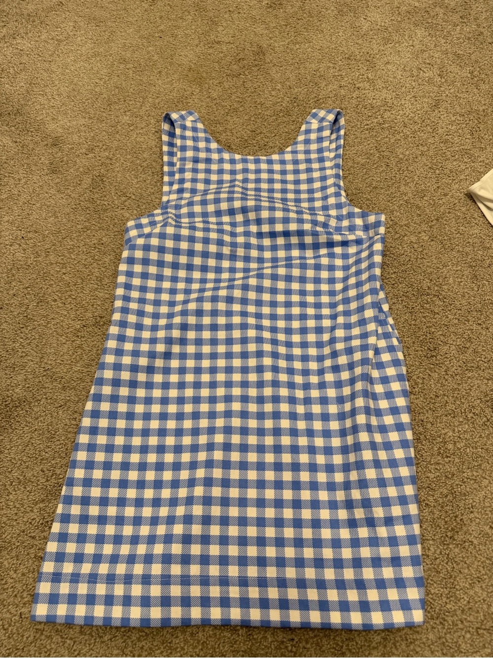 Olivaceous Blue and White Gingham Sleeveless Shift Dress